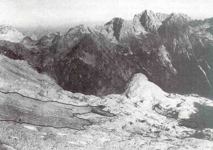 Gams02.jpg (45443 bytes)