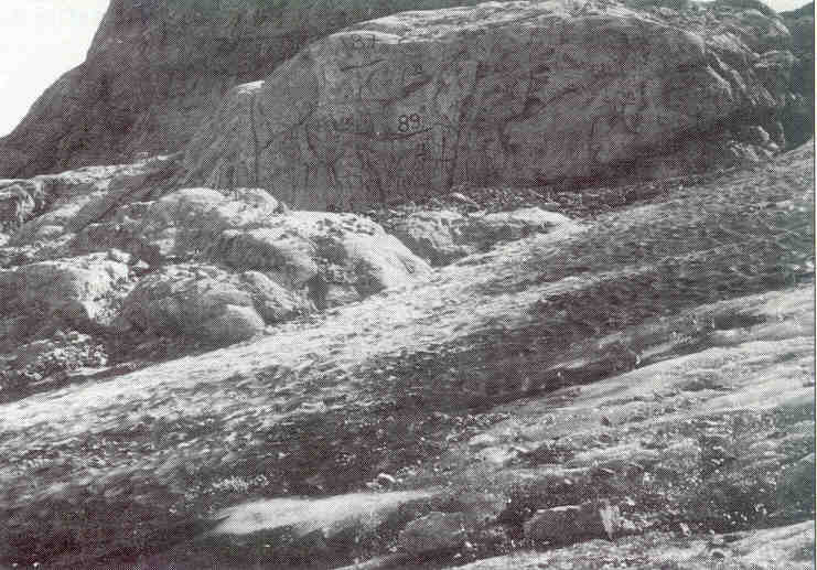 Gams04.jpg (56564 bytes)