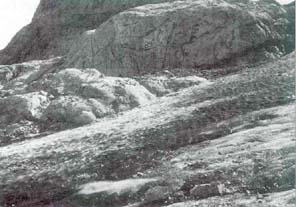 Gams04s.jpg (23557 bytes)