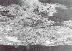 Gams09s.jpg (27151 bytes)