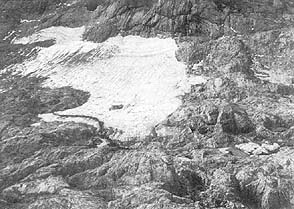 Gams10s.jpg (28730 bytes)