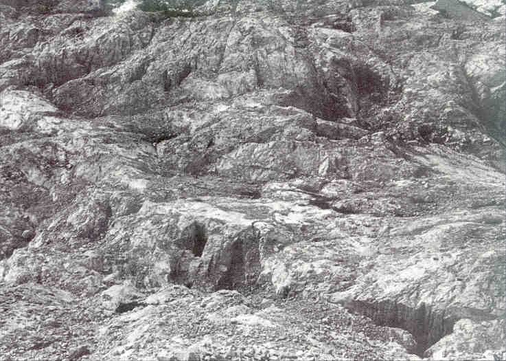 Gams11.jpg (69635 bytes)